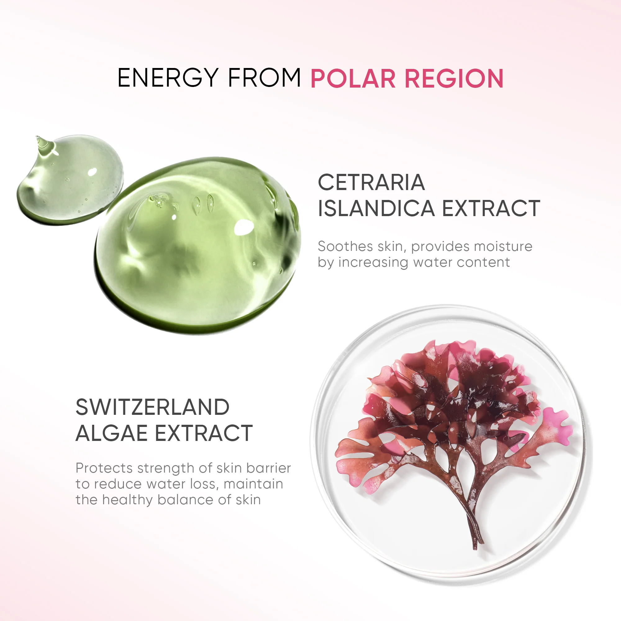 Zero Oil Cleansing Balm Makeup Remover - Image 6